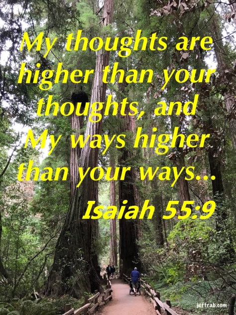 Isaiah 559