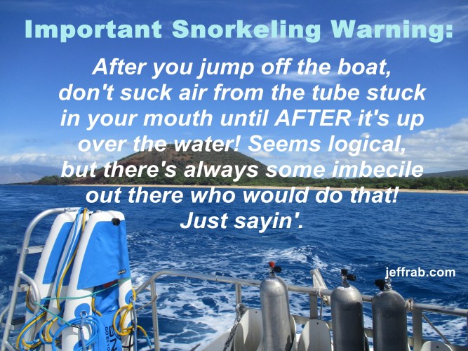 Snorkel Vision Warning