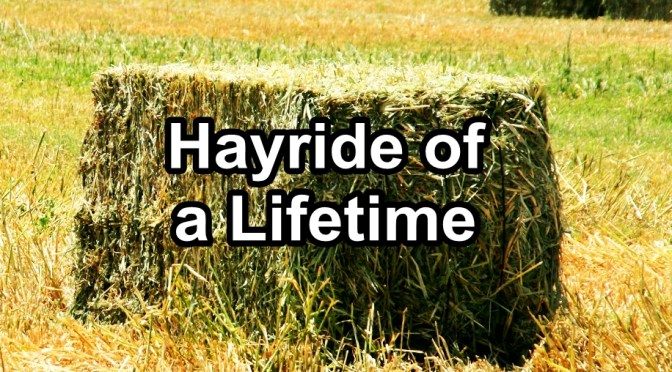 Hayride of a Lifetime