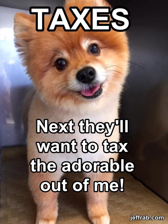 The Income Tax Blues story