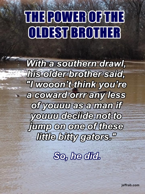 Little Bitty Gators story