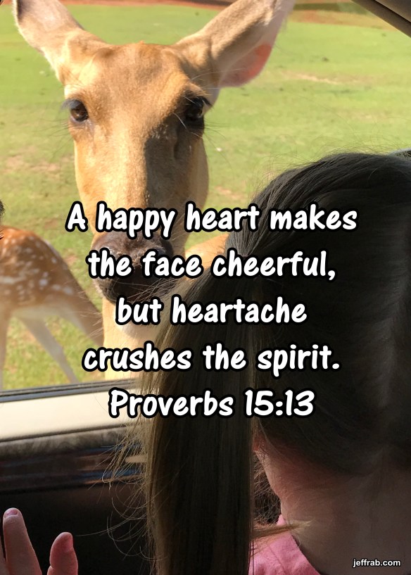 Laughter in the Mind