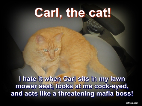 Carl, The Bird Killer