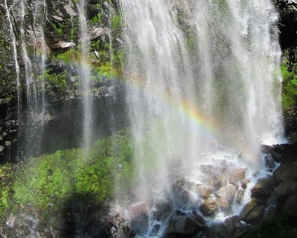 A Peace in a Piece of Water