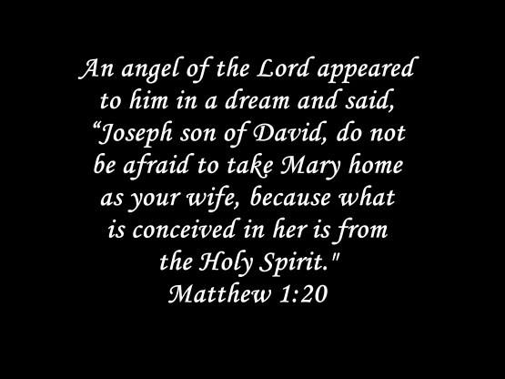 I'm Kind of His Father