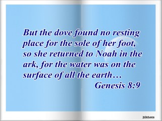 The Dove's Flight story