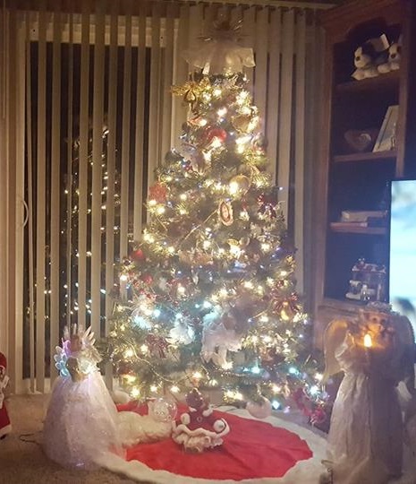 47572493_10156983486494430_3062806161632788480_n