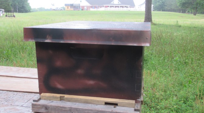 Welcome to the Bee Box