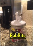 Rabbits 1