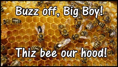 Welcome to My Bee Box story