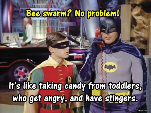 Welcome to the Bee Box