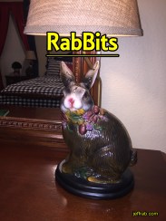 Rabbits Blog 2