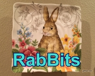 RabBits 11