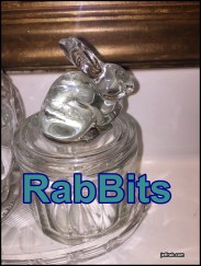 RabBits8