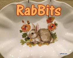 RabBits 16