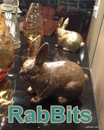 RabBits 18