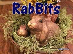 RabBits 19