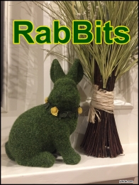 RabBits 20