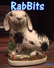 RabBits 25