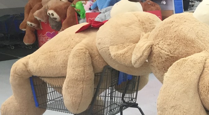 Valentine’s Day Quandry